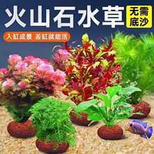 ��ɽʯˮ��ֲ���~���쾰���ˮ������ˮ����ԾG�Ճ���ˮ�|�ײ�