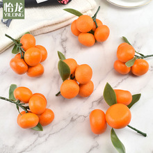 ɳ�ǽ�ɰ���۽����ϼ�ˮ���߲˔[�������ӽ����ģ���b���