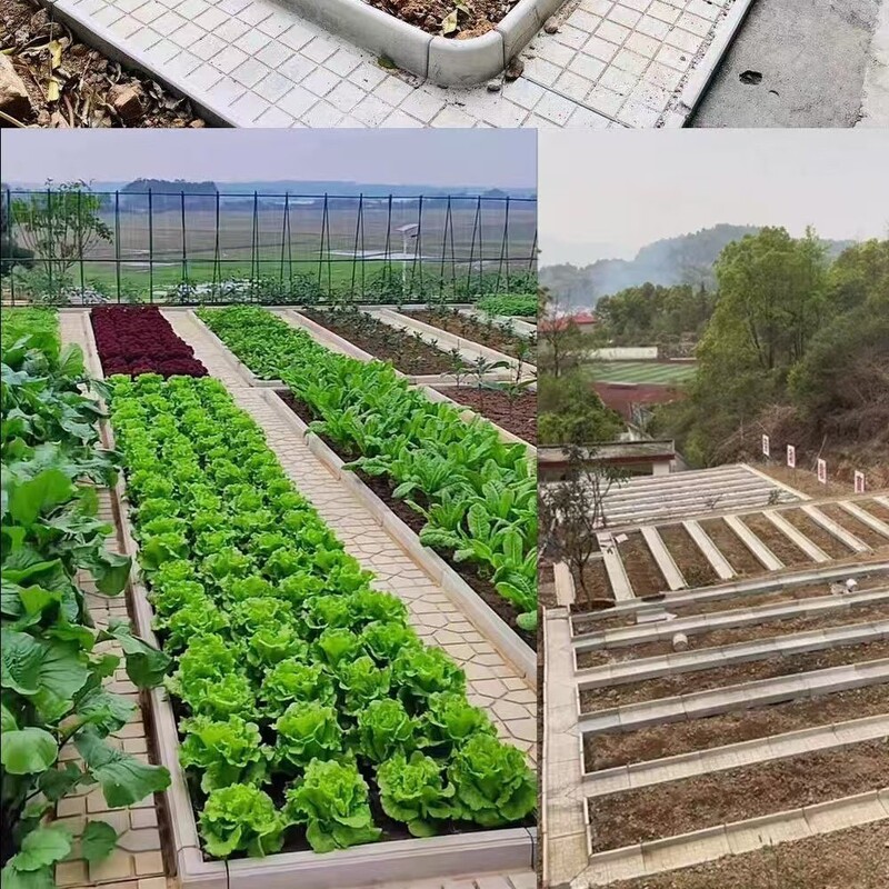 源头厂家菜沟板成品菜沟板水泥成品菜沟板田园铺路砖菜沟板|undefined