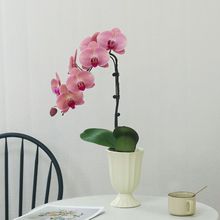 �����m���玧���������r�����ܾGֲ�����ļ��m���҃Ⱥ��B���ڳ��L