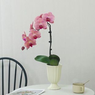 �����m���玧���������r�����ܾGֲ�����ļ��m���҃Ⱥ��B���ڳ��L