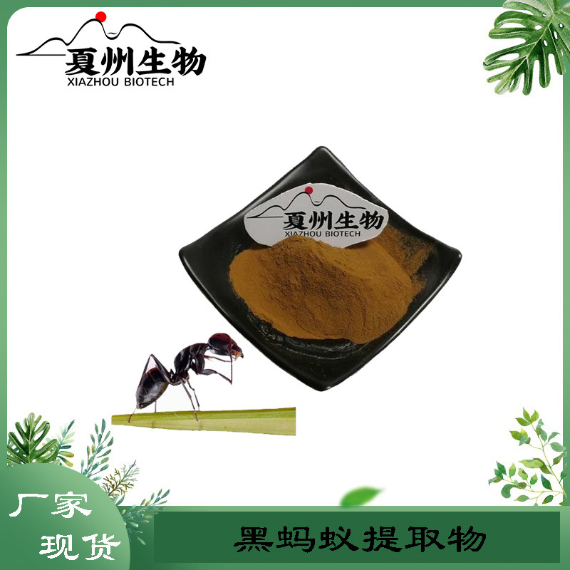 黑蚂蚁提取物 10/20/30/50:1规格 黑蚂蚁粉 拟黑多刺蚁提取物