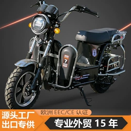 电动摩托车;电动三轮车