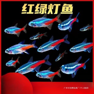 �S����ʹ�S�ҿ����׿�ȸ�~�����~�Ꭷ�߲ʼt�G����ˮ��ɏ���~Ⱥ�^