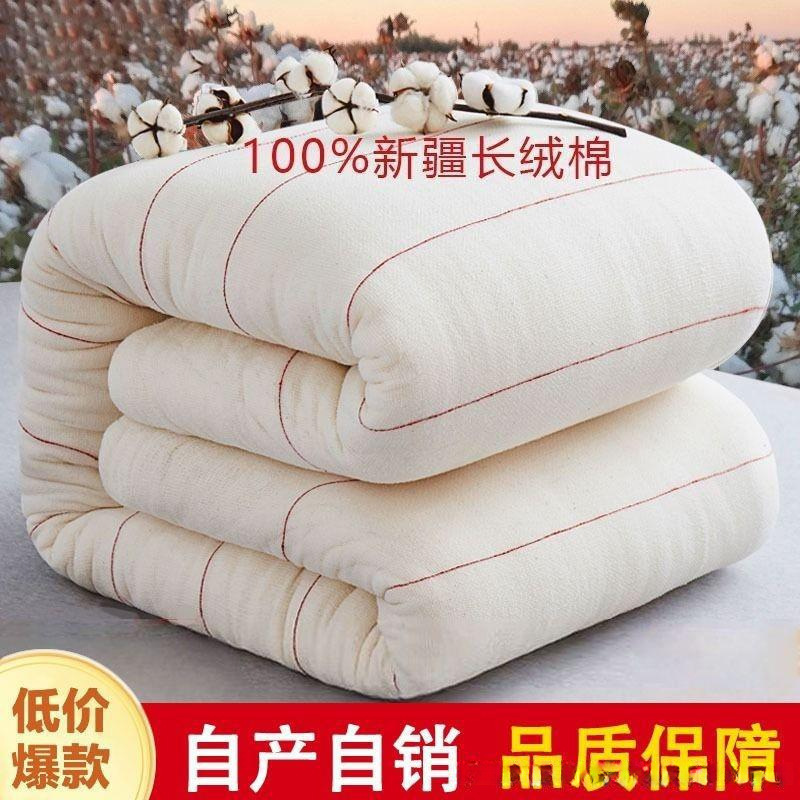 Student Dormitory Quilt Cotton Quilt Core Cotton Batting Mattress Handmade Quilt Pure Winter Quilt