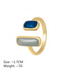 Tide, brand adjustable fashionable small design ring, light luxury style, trend of season, on index finger