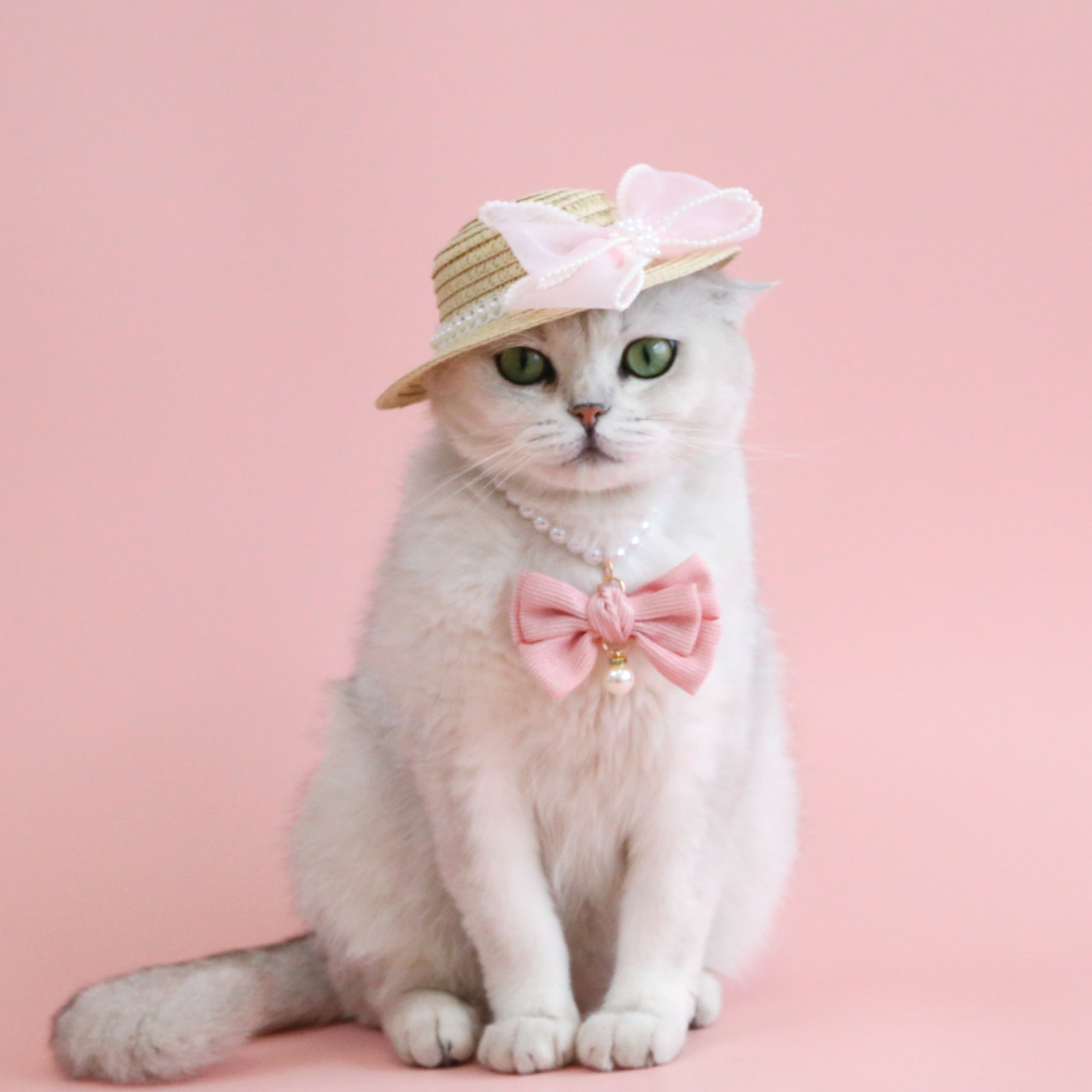 Gato del animal doméstico señora sombrero de paja perla arco tejido sombrilla conejo perro salida accesorios fotografía tocado accesorios