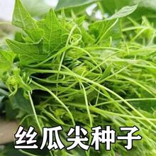 �ļ������Ϲϼ�N�� ʳ�ùϼ�N����ϼ��Ϲϼ���N���߲���
