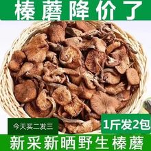 长白山榛蘑东北野生榛蘑蘑菇伊春榛蘑干袋装批发榛蘑干货蘑菇菌类