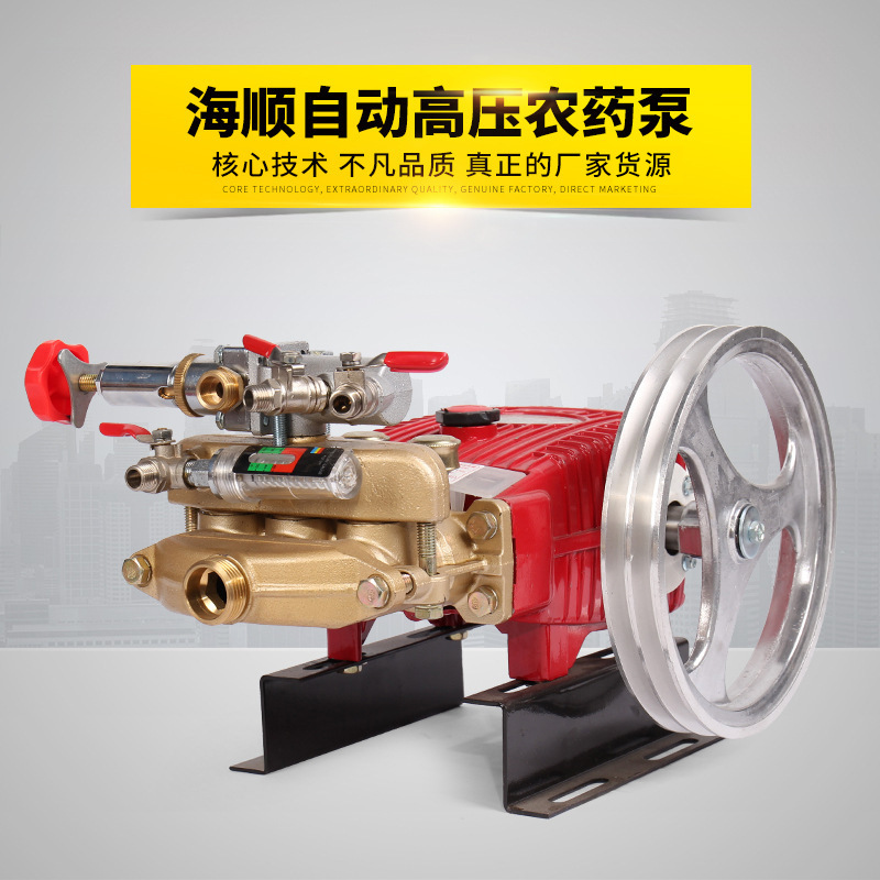 台湾合资海顺45型自动泄压高压农药泵果树农药喷雾机批发
