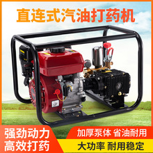 汽油机喷雾器高压园林大功率直连式打药机农用机喷洒