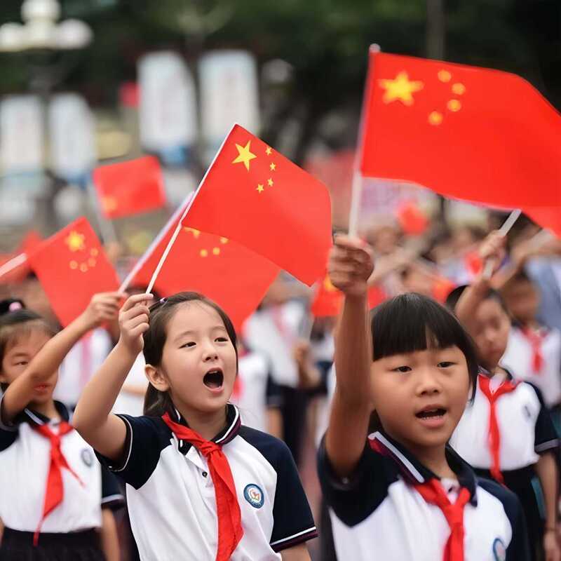 手挥旗国旗小红旗红旗手摇户外手持旗子五星红旗国庆节车载装饰品|undefined