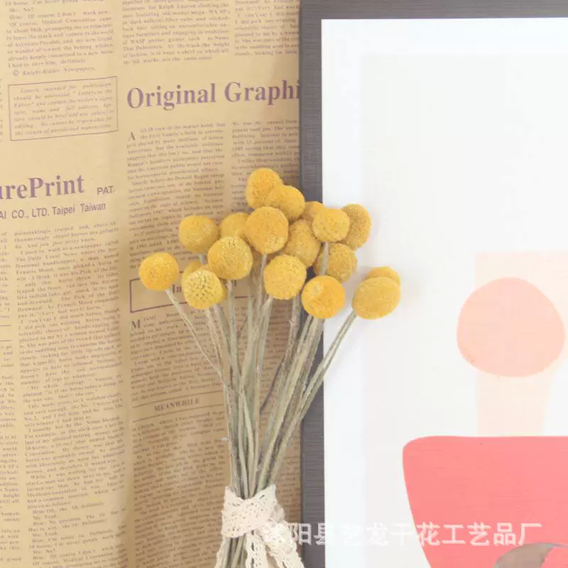 干花永生花黄金球花束婚礼布置花艺软装森系拍摄道具花材批发