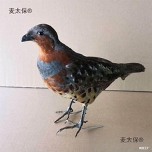 ����԰��ģ��ý��������ëë�������¿��������̫��