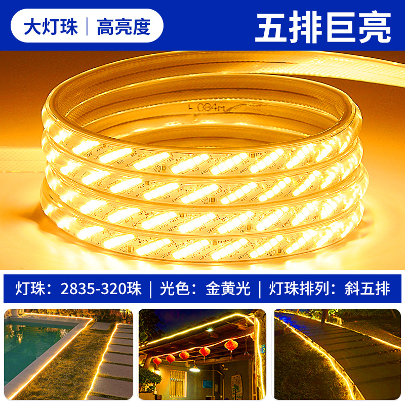 2835-320 lamp five rows of golden light