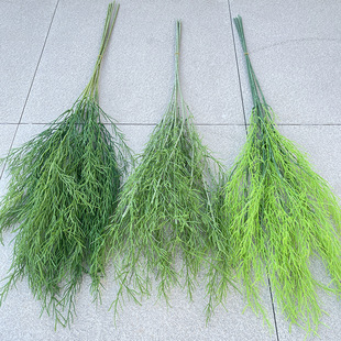 ?�J���� �Gֲ ��c�bپGֲ��횲� ���l