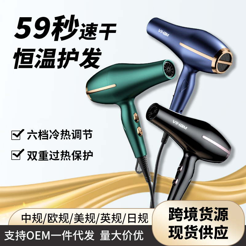 Foreign Trade New High-Power Hair Dryer Hair Salon Barber Hotel High Wind Hair Dryer Household Hot and Cold Wind Hair Dryer