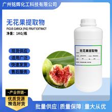 无花果提取物 无花果提取液 无花果萃取液 护肤原料 植物提取物