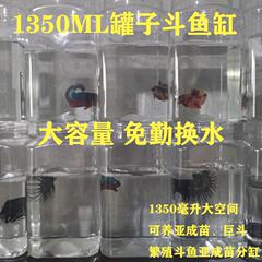 闘魚1350缶大容量蓋付き厚いプラスチック角型四角型繁殖亜成巨斗缶