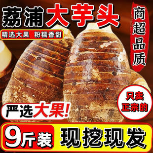 �V���������^�r��9�����䙉�������^�F�����r��Ŵ����ë���^