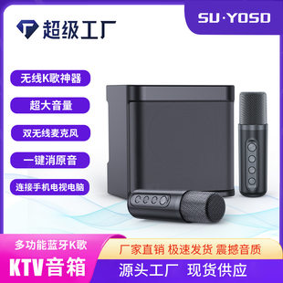 Double chorus karaoke audio electronic product wireless Bluetooth dual microphone speaker all-in-one machine YS-203 subwoofer