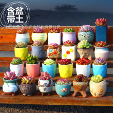 ����ֲ��M���҃�С���Ԏ��մɻ���������Gֲ�����׃��@���ԶY��