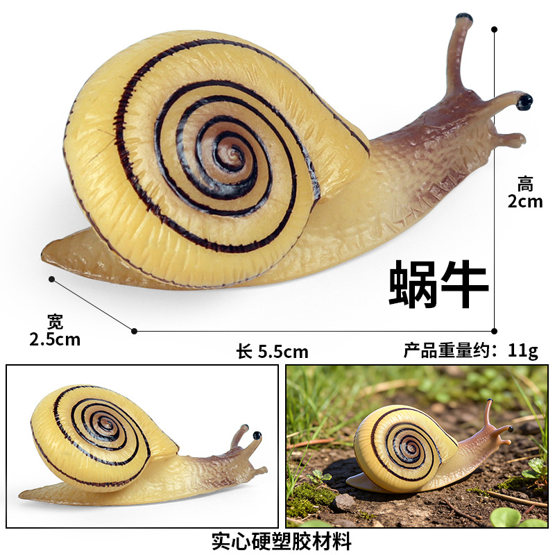 1734 caracol
