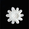 DIY shell Petalial Handmade Carving Drilling Flower Whitening White Shell Material Accessories Accessories Accessories B1-B24