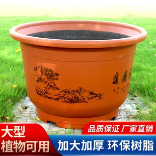 �Ӻ�������̖��֬���մɼ��ù����̨ͥԺ�N�F����⻨�ܻ���
