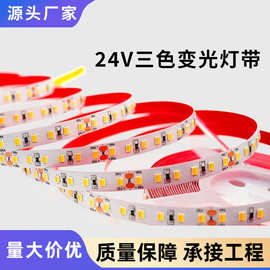 跨境三色变光24V灯带8mm宽 灯具装饰灯氛围线性灯条线条灯led灯带