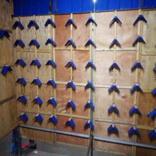 �����þ���Ʒ��ȫʳ�����ӸC�젝���ӳ��C������վ�ܗ�����Ϣ��