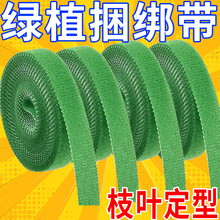 �������ռ{����ħ�g�N������������X����������늾��߾��̶�����