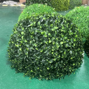 ����Gֲ���w�ړ��b�Ʒ���������Gֲ�G�d�Ӳ����b����m����