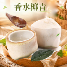 ̩����ˮҬ�� ���l2/4������ش���_Ҭ������ȫ��Ҭ�����rˮ��