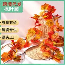 �����Ҷ����ʥ����װ���＾�Ҽ���ʥ�ڲ����＾����ѷ�ڼ���Ҷ��
