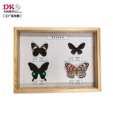��ƽ̌W ���x�˱� ��͐�����P������P�����P��30*40*5cm �ߵ�
