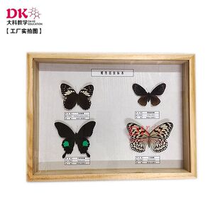 ��ƽ̌W ���x�˱� ��͐�����P������P�����P��30*40*5cm �ߵ�