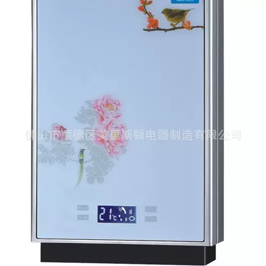 出口南美燃气热水器110V热水器强制排烟燃气热水器可以定制