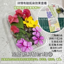 ֲ����Ⱦ�r�� ���r���~���ܾGֲ �����زݲ��� ��ӡ���|�����F�z