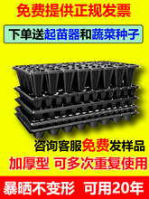 营养钵育苗盘育苗盆穴盘塑料杯多肉种植蔬菜育种扦插营养杯育苗盒