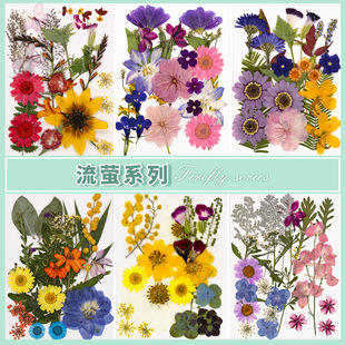 �ɻ�diy���ϰ�����������ƬѺ���ݵ��z����ֲ����~�˱���������