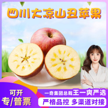 【严选】四川大凉山丑苹果 代发8斤大果新鲜冰糖心苹果当季水果