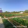 仿竹美丽花园乡村护栏