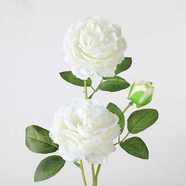 洋牡丹の造花は花の家庭の客間に花束を飾っています。|undefined
