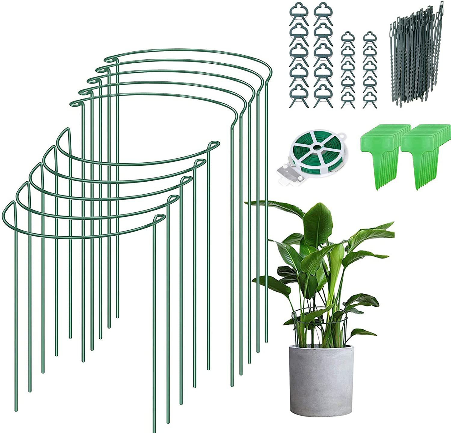 71QBuciCv5L._AC_SL1500_