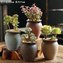 ���⻨���̖�Ϙ��؄��₀�Դ�ڏ�����͸���մ�����ֲ�ﻨ��