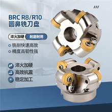 R10㊵PR8A_ֵP؈A㊵PBRCbRCMT2006AR10