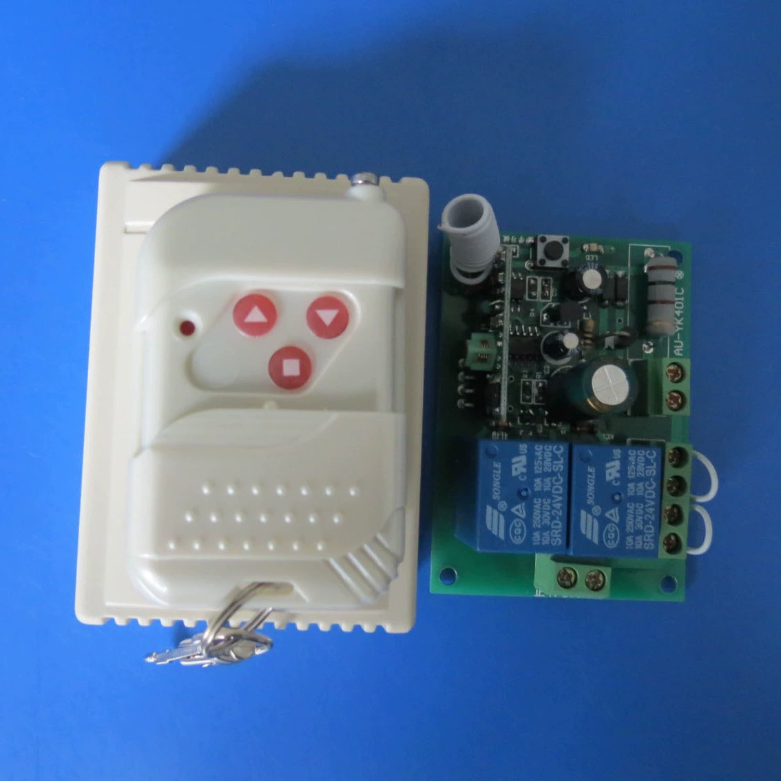 Профессиональный двигатель, контроллер, 12В/24В/220В