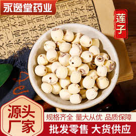 莲子 莲子心 去皮莲子 中药材莲子批发 白莲子产地货源公斤包邮