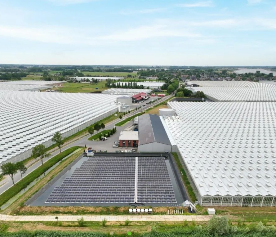 微信截图_20250628160814